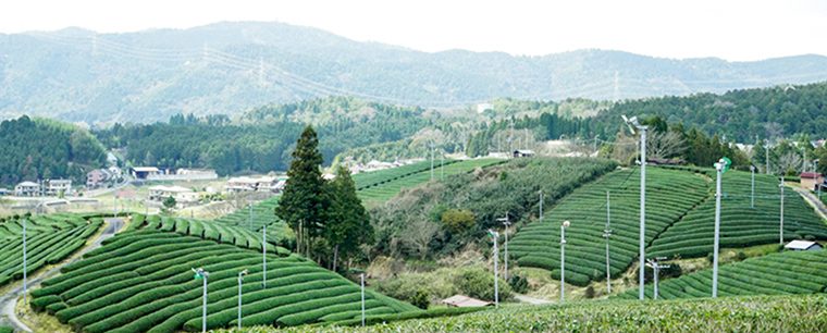 宇治田原の風景