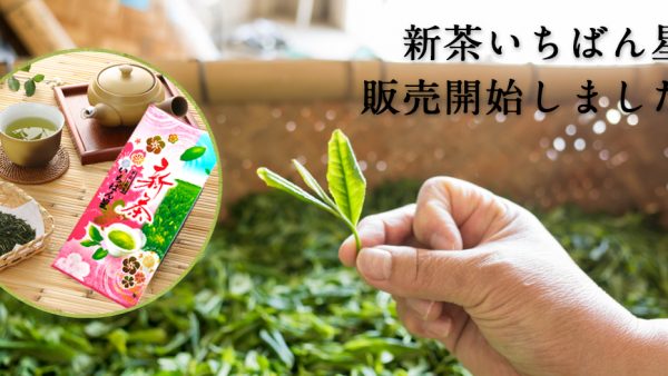 新茶の販売を開始しました